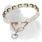 'Best Behaviour' Mastiff Dog Neck Tech Prong Collar