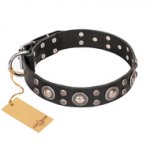 FDT Artisan 'Vintage Necklace' Decorated Leather Mastiff Dog Collar with Circles and Studs - 1 1/2 inch (40 mm) wide