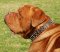 French Mastiff leather spiked dog collar -3 Rows of spikes