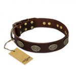 "Chocolate kiss" FDT Artisan Leather Mastiff Collar with Old Bronze Look Oval Plates