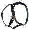 Similar Lupine adjustable dog harness for Mastiff
