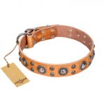 'Extra Sparkle' FDT Artisan Handcrafted Mastiff Tan Leather Dog Collar