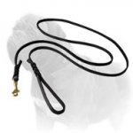 Long and Strong Mastiff Dog Leash for Shows