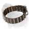 Eye-Catching Mastiff Dog Collar with 4 Rows of Spikes