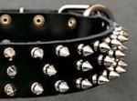Black Leather Spiked dog Collar for Mastiff