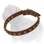 Beautiful Thin Leather Dog Collar with Studs for Mastiff Daily Walks and Professional Workout