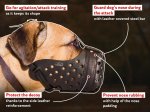 Leather dog muzzle "Dondi"-plus style Cane Corso Mastiff