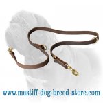 Superb Quality Leather Mastiff Dog Leash with 2 Snap Hooks_1