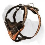 Mastiff Leather Harness for Professional Attack Training and Daily Walks