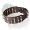 Mastiff Dog Collar Extra Wide Spikes with Studs
