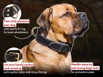 Mastiff Dog Collar-2ply Leather Collar-Mastiff SUPPLIES