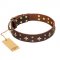 'High Fashion' FDT Artisan Embellished Brown Leather Mastiff Collar