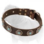 Western Leather Dog Collar w/h turquoise stones for Mastiff