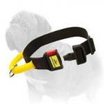 Nylon Mastiff Collar with Additional Handle and Easy Quick Release Buckle