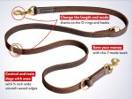 Dog Leash Training for Mastiff -Training Lead