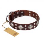 "King of Grace" FDT Artisan Stylish Leather Mastiff Collar with Old Silver-Like Plated Decorations