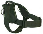 English Mastiff Nylon multi-purpose Harness for Tracking/Pulling