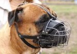 Mastiff Wire Basket dog muzzle- bullmastiff
