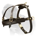 Pulling, Tracking and Every Day Mastiff Leather Harness with Strap-Like Chest Plate