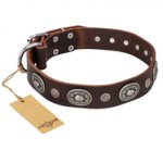 "Extra Pizzazz" FDT Artisan Adorned Brown Leather Mastiff Collar