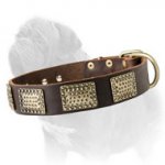Adjustable Leather Dog Collar with Brass Curved Vintage Plates for Mastiff Breed Walking and Training