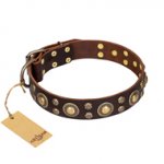 'Flower Melody' FDT Artisan Brown Leather Dog Collar with Mixed Studs for Walking with Mastiff