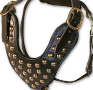 2 Ply Studded Leather Dog Harness for Mastiff