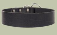2 inch wide All Weather Collar for Mastiff-Leather Collar