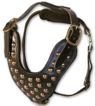 Adjustable Studded 2-Ply Latigo Harness for Mastiff