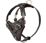 Black Leather Dog Harness for Mastiff