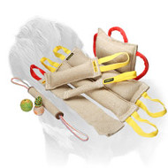 Best Mastiff Training Set (6 items)