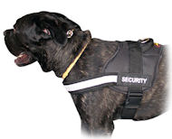 Reflective nylon dog harness Cane Corso Mastiff - Everyday Harness