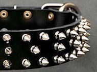 Canine Deluxe Spiked Leather Dog Collar for Mastiff