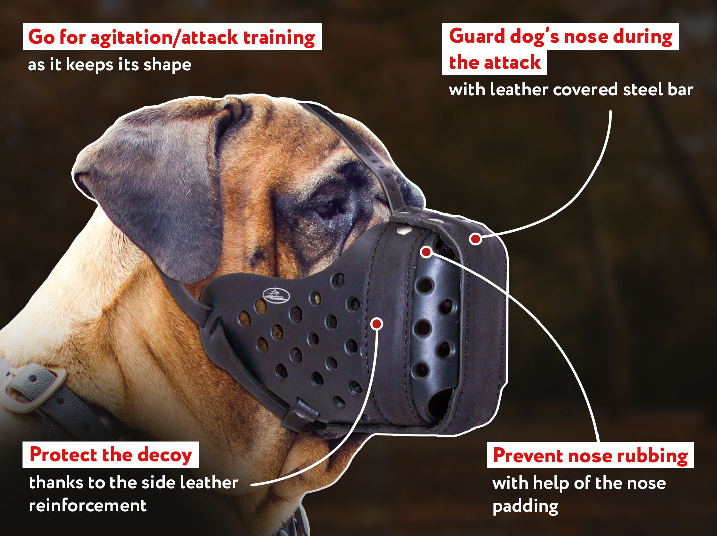 DSG Agitation/Police Dog Muzzle for Mastiff Mastiff Breed Harnesses
