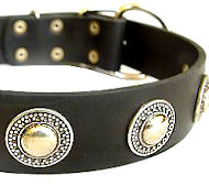 Deluxe Leather Dog Collar with jewelry for Mastiff