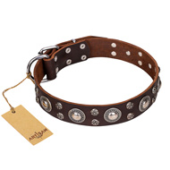 'Age of Beauty' FDT Artisan Incredible Studded Brown Leather Mastiff Collar