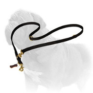Practical in Use Nylon Mastiff Dog Leash