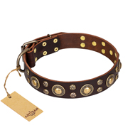 'Flower Melody' FDT Artisan Brown Leather Dog Collar with Mixed Studs for Walking with Mastiff