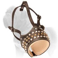 Comfortable Leather Dog Muzzle with Gorgeous Brass Decorative Sruds for Mastiff Dogs