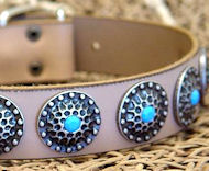 High Quality Dog Collars with blue stones Mastiff