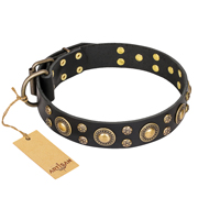 'Baroque Chic' FDT Artisan Studded Black Leather Mastiff Dog Collar