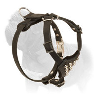 Studded Mastiff Dog Harness for Safe Walks