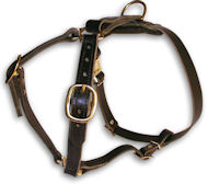 English Mastiff Luxury handcrafted dog harness