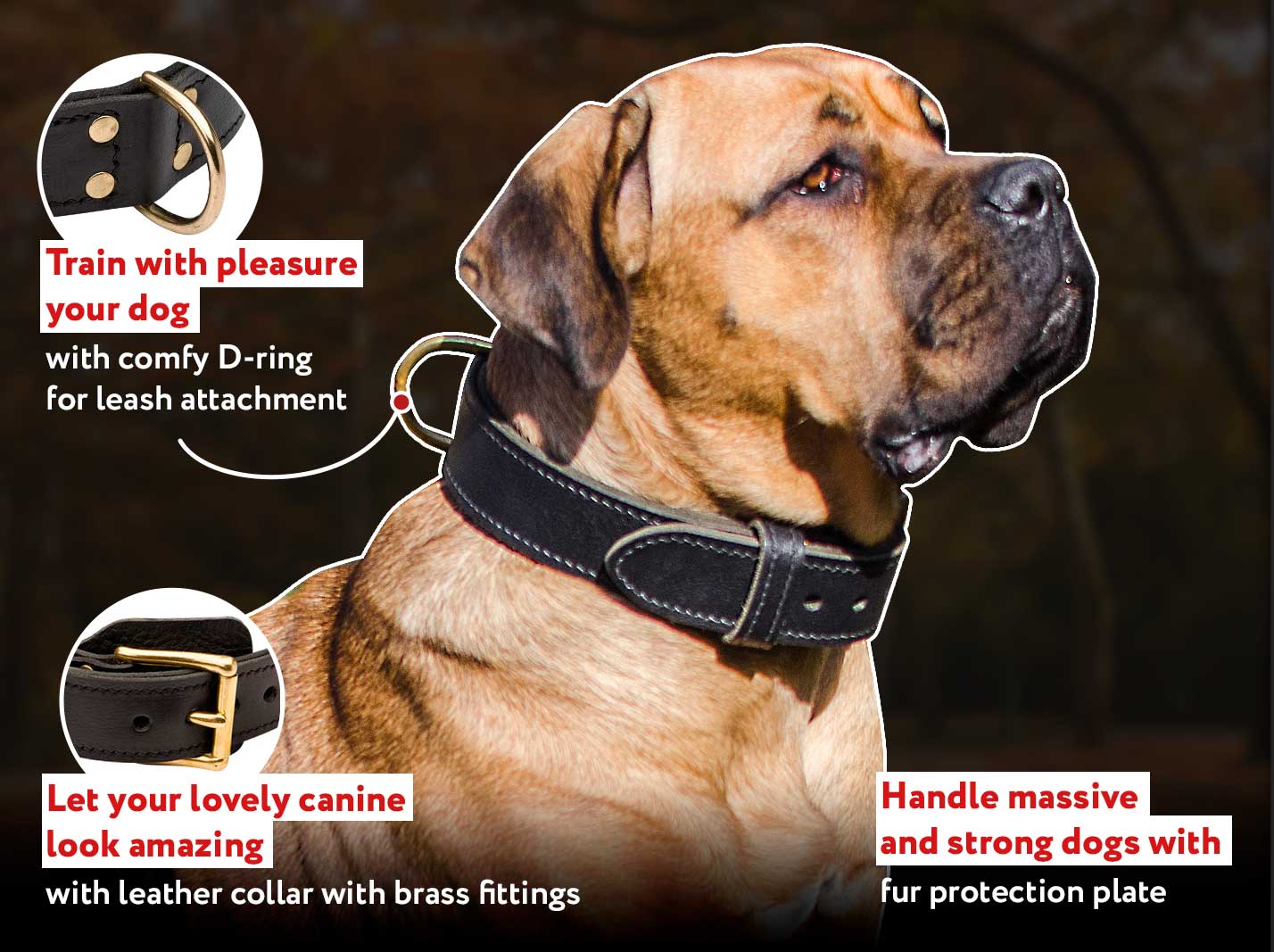 Mastiff Dog Collar2ply Leather CollarMastiff SUPPLIES Mastiff Breed