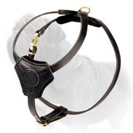 Best Harness for Mastiff Puppy - Free Movements and Comfort