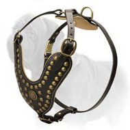 Royal Mastiff Harness with Brass Studs and Nappa Leather Padding