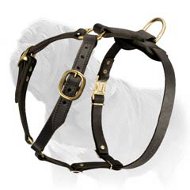 Fantastic Light Weight Leather Mastiff Harness