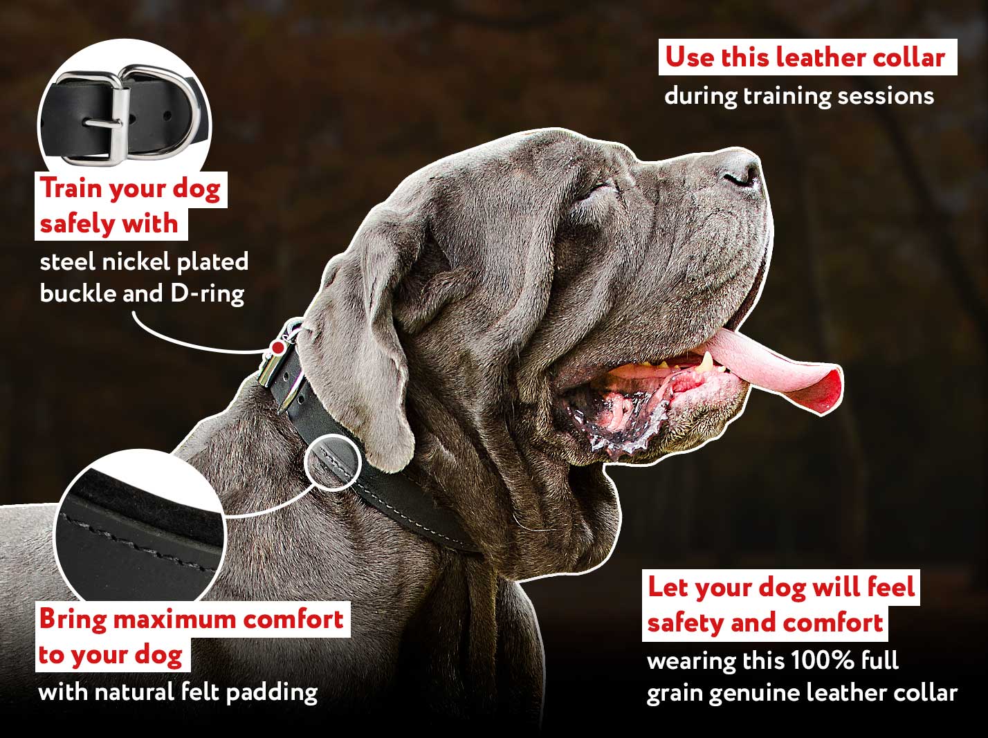 Genuine Leather Dog 【Collar】 Padded with Natural Felt for Mastiff Breed