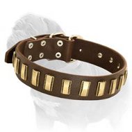 Fabulous Mastiff Collar with Brass Curved Plates