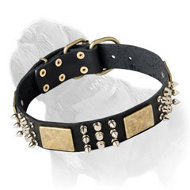 Leather Dog Collar with Spikes, Studs and Plates Mastiff Training/Walking
